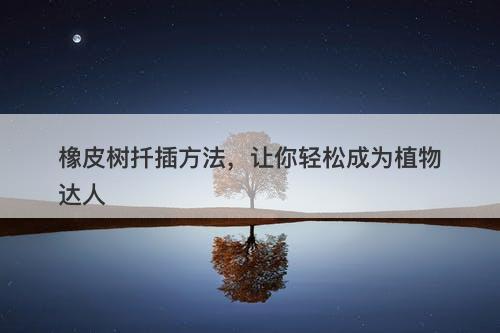 橡皮树扦插方法，让你轻松成为植物达人