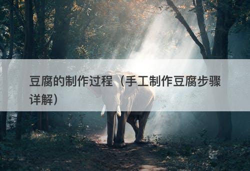 豆腐的制作过程（手工制作豆腐步骤详解）