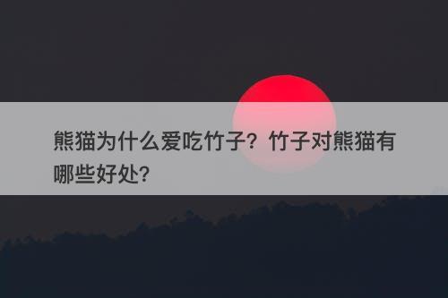 熊猫为什么爱吃竹子？竹子对熊猫有哪些好处？