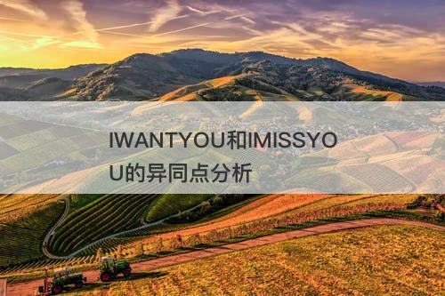 IWANTYOU和IMISSYOU的异同点分析