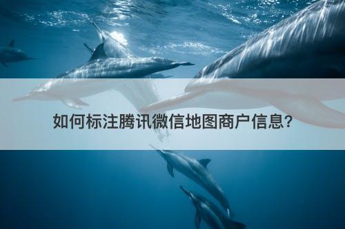 如何标注腾讯微信地图商户信息？