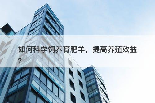 如何科学饲养育肥羊，提高养殖效益？