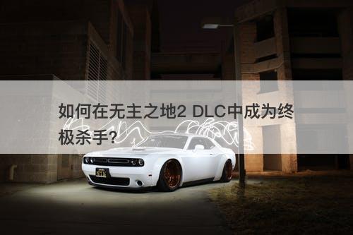 如何在无主之地2 DLC中成为终极杀手？