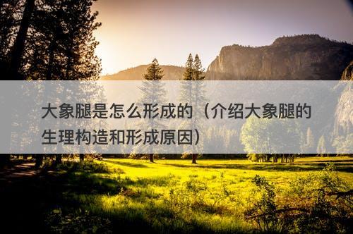 大象腿是怎么形成的（介绍大象腿的生理构造和形成原因）