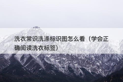 洗衣常识洗涤标识图怎么看（学会正确阅读洗衣标签）-图1