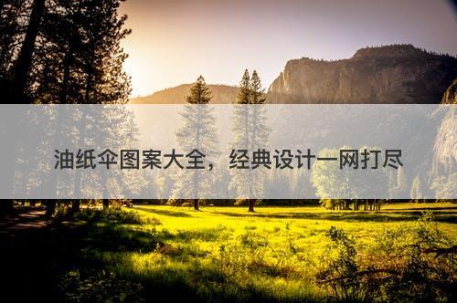 油纸伞图案大全，经典设计一网打尽-图1