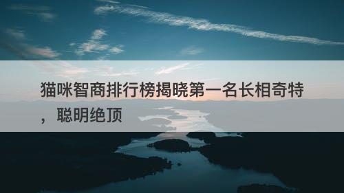 猫咪智商排行榜揭晓第一名长相奇特，聪明绝顶-图1