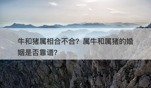 牛和猪属相合不合？属牛和属猪的婚姻是否靠谱？