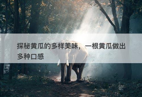 探秘黄瓜的多样美味，一根黄瓜做出多种口感