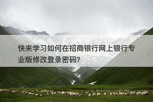 快来学习如何在招商银行网上银行专业版修改登录密码？