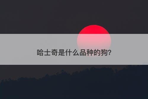 哈士奇是什么品种的狗？