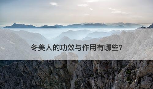 冬美人的功效与作用有哪些？