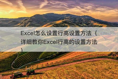 Excel怎么设置行高设置方法（详细教你Excel行高的设置方法）