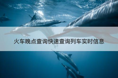 火车晚点查询快速查询列车实时信息