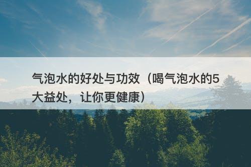 气泡水的好处与功效（喝气泡水的5大益处，让你更健康）