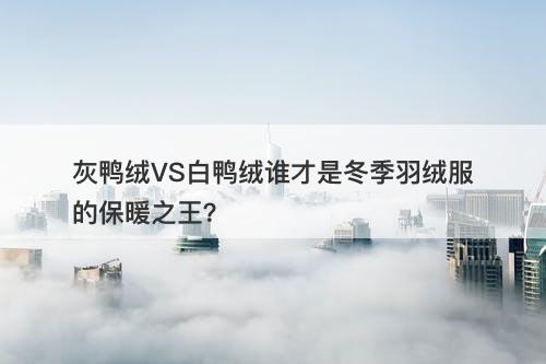 灰鸭绒VS白鸭绒谁才是冬季羽绒服的保暖之王？