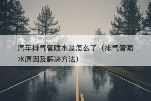 汽车排气管喷水是怎么了（排气管喷水原因及解决方法）