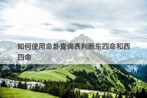 如何使用命卦查询表判断东四命和西四命
