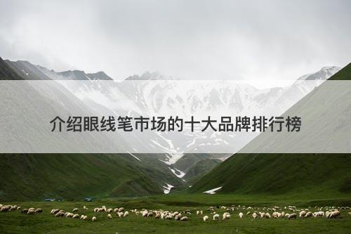 介绍眼线笔市场的十大品牌排行榜