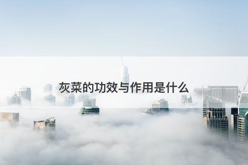灰菜的功效与作用是什么