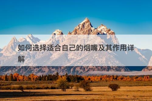 如何选择适合自己的烟嘴及其作用详解