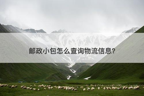 邮政小包怎么查询物流信息？