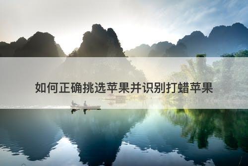 如何正确挑选苹果并识别打蜡苹果