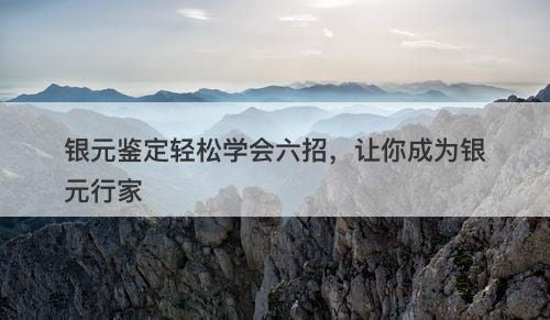 银元鉴定轻松学会六招，让你成为银元行家