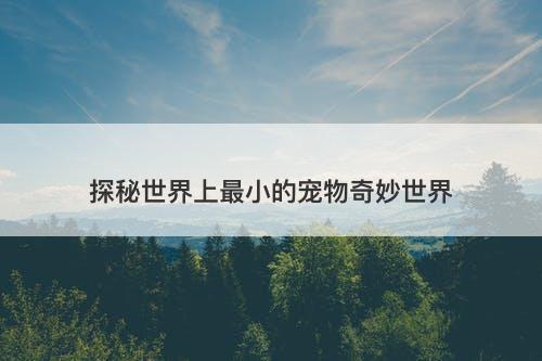 探秘世界上最小的宠物奇妙世界