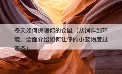 冬天如何保暖你的仓鼠（从饲料到环境，全面介绍如何让你的小宠物度过寒冬）