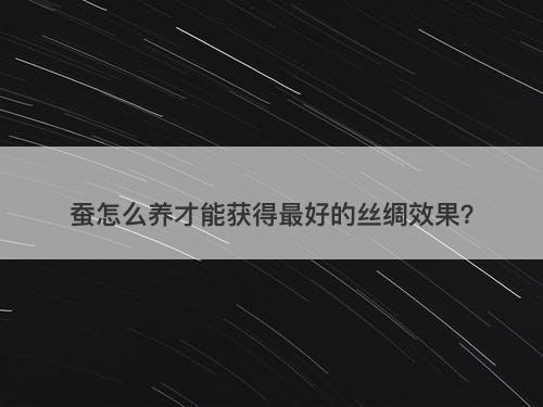 蚕怎么养才能获得最好的丝绸效果？