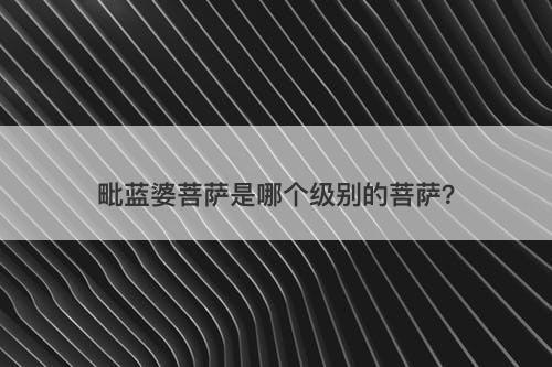 毗蓝婆菩萨是哪个级别的菩萨？