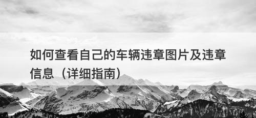 如何查看自己的车辆违章图片及违章信息（详细指南）