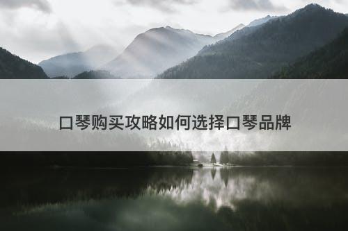 口琴购买攻略如何选择口琴品牌