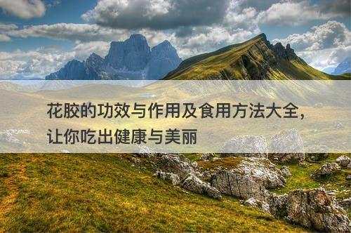 花胶的功效与作用及食用方法大全，让你吃出健康与美丽