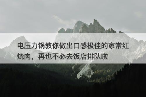 电压力锅教你做出口感极佳的家常红烧肉，再也不必去饭店排队啦