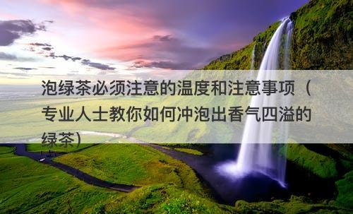 泡绿茶必须注意的温度和注意事项（专业人士教你如何冲泡出香气四溢的绿茶）