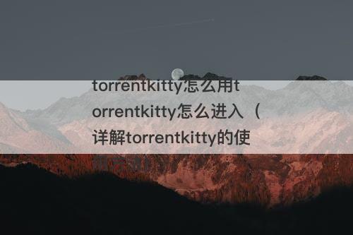 torrentkitty怎么用torrentkitty怎么进入（详解torrentkitty的使用方法）