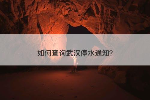 如何查询武汉停水通知？