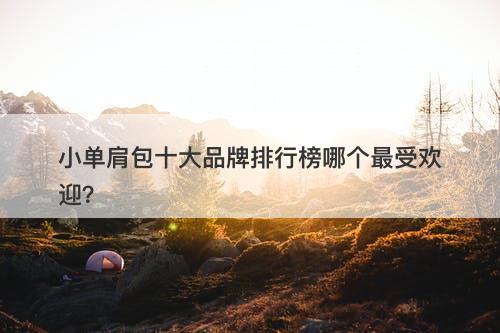 小单肩包十大品牌排行榜哪个最受欢迎？