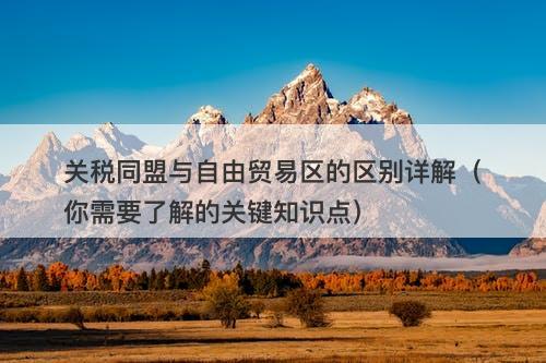 关税同盟与自由贸易区的区别详解（你需要了解的关键知识点）