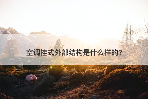 空调挂式外部结构是什么样的？