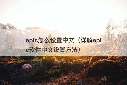 epic怎么设置中文（详解epic软件中文设置方法）