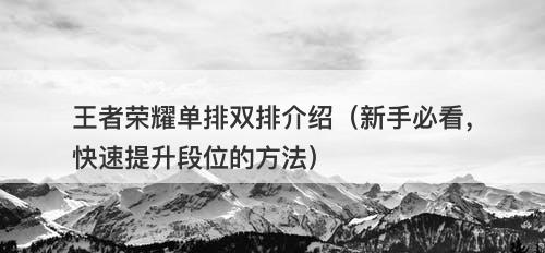 王者荣耀单排双排介绍（新手必看，快速提升段位的方法）