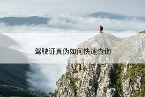 驾驶证真伪如何快速查询