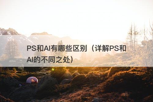 PS和AI有哪些区别（详解PS和AI的不同之处）