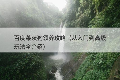 百度莱茨狗领养攻略（从入门到高级玩法全介绍）