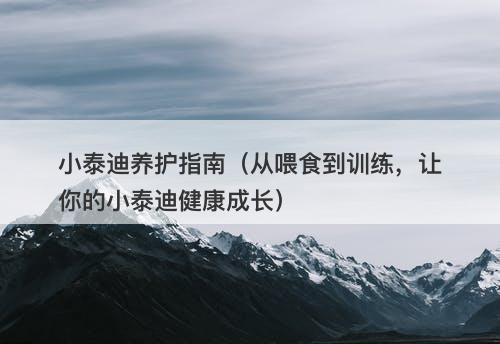 小泰迪养护指南（从喂食到训练，让你的小泰迪健康成长）