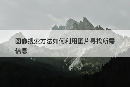 图像搜索方法如何利用图片寻找所需信息