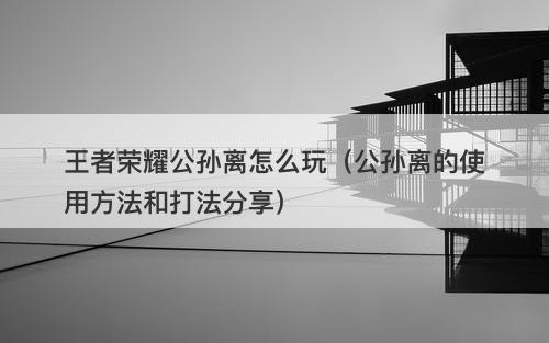 王者荣耀公孙离怎么玩（公孙离的使用方法和打法分享）